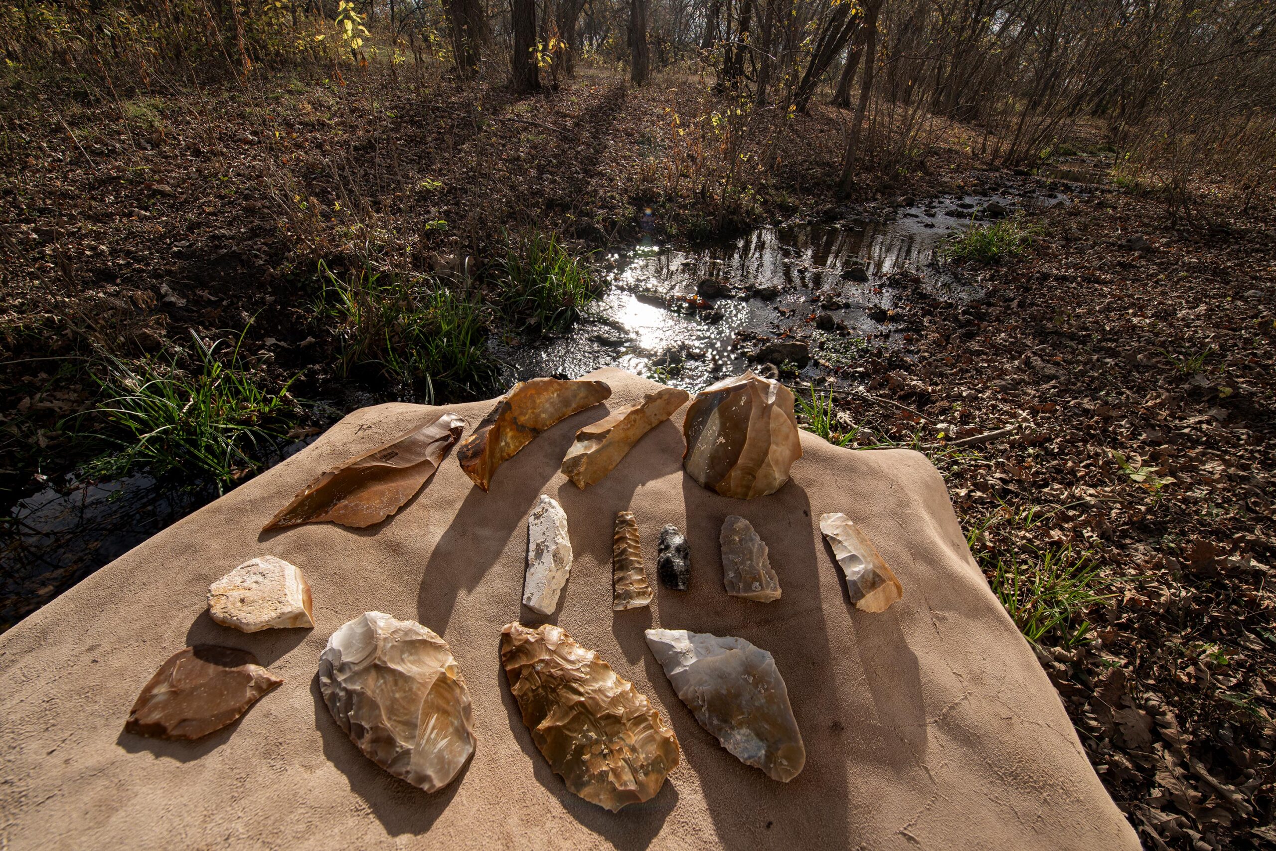 Photo of artifacts on dislay at the Gault Site